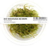 ADA Christmas Moss Vesicularia montagnei IC809